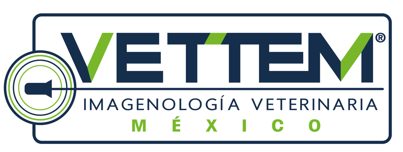 Logo VETTEM